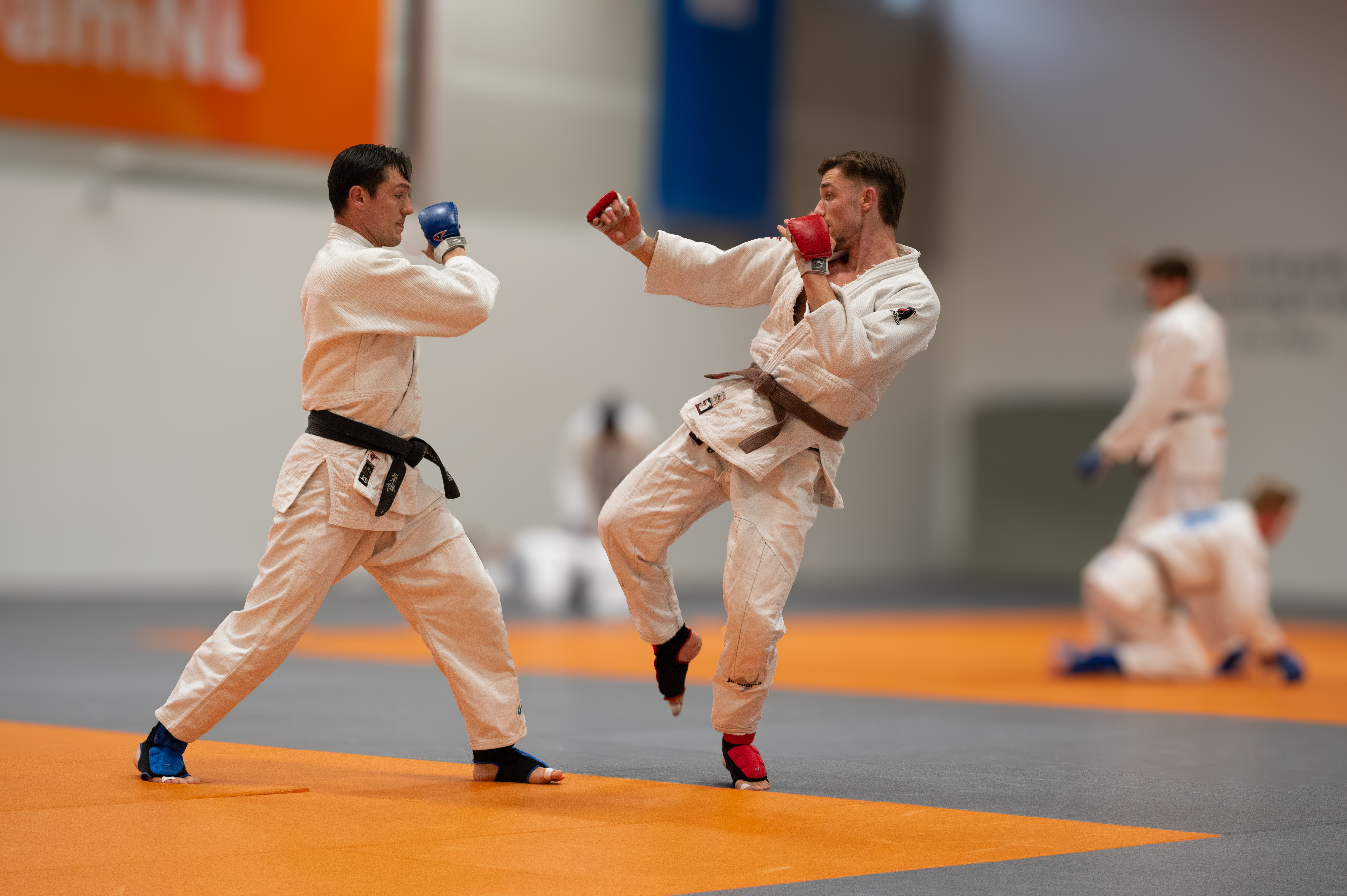 DSC_5954_2025-07-14-102952_rsbd