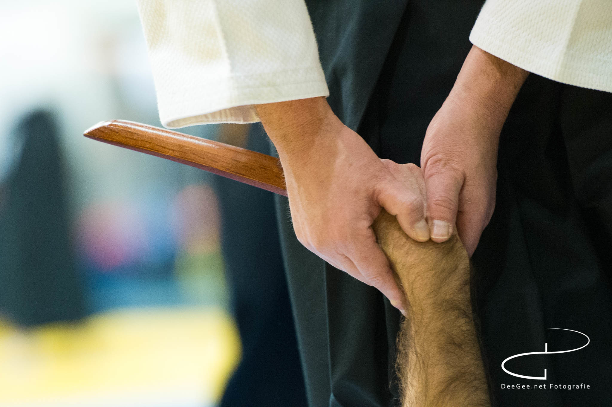 AikidoFestijn-2019-1071