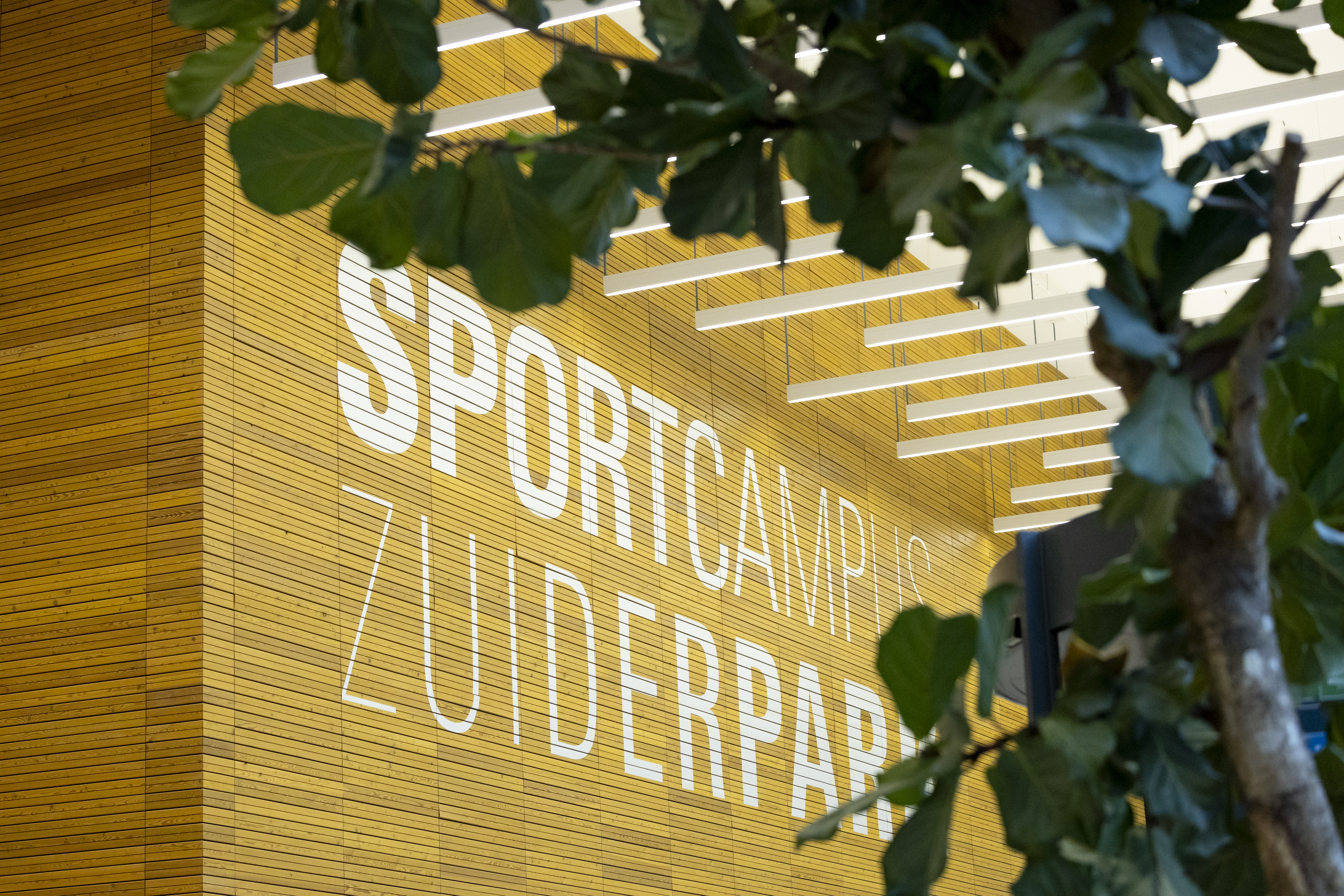NK-Judo-18-jaar-2024-Sportcampus-Den-Haag-7