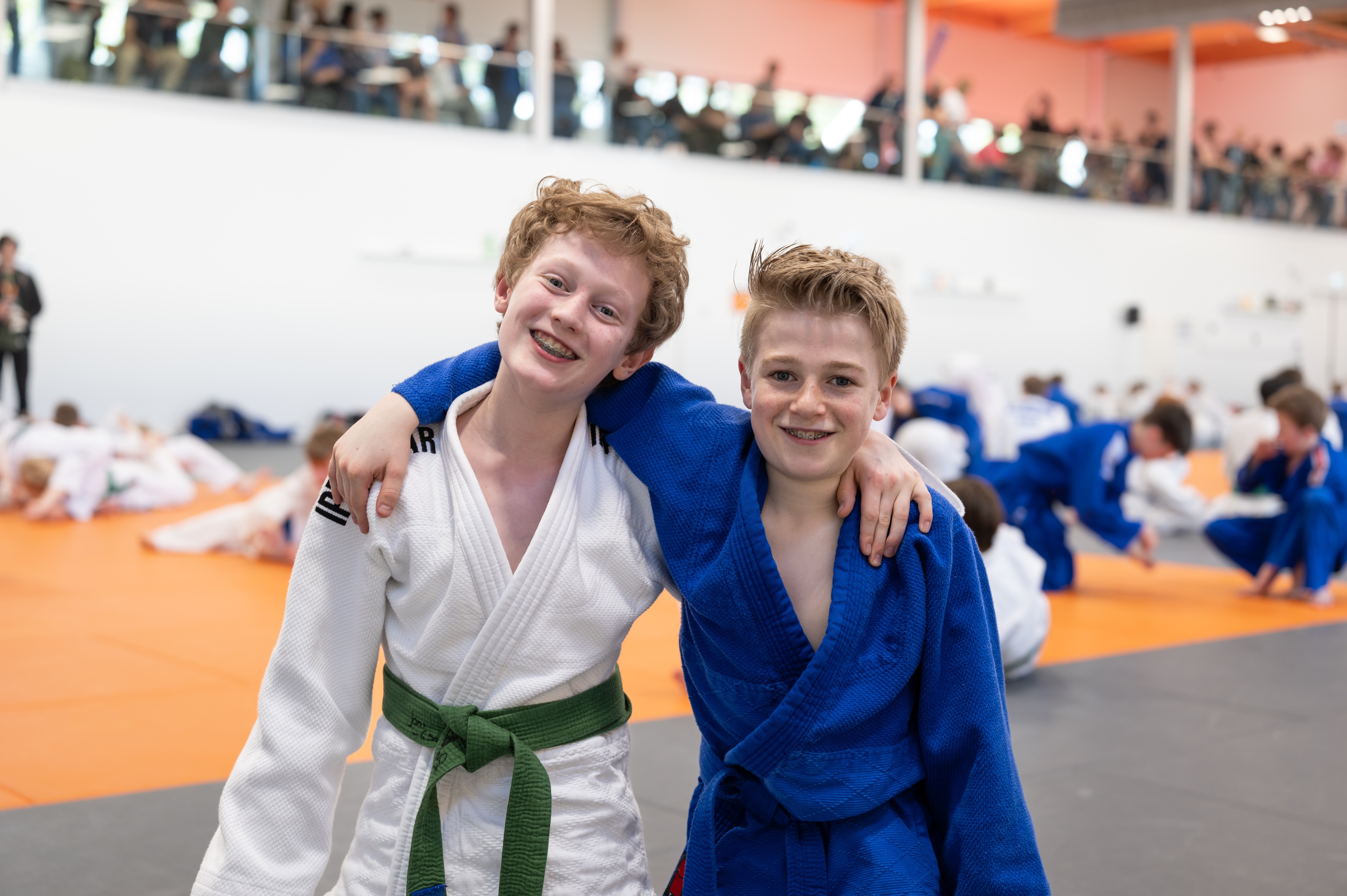 photostique-BD24-PM-1002913