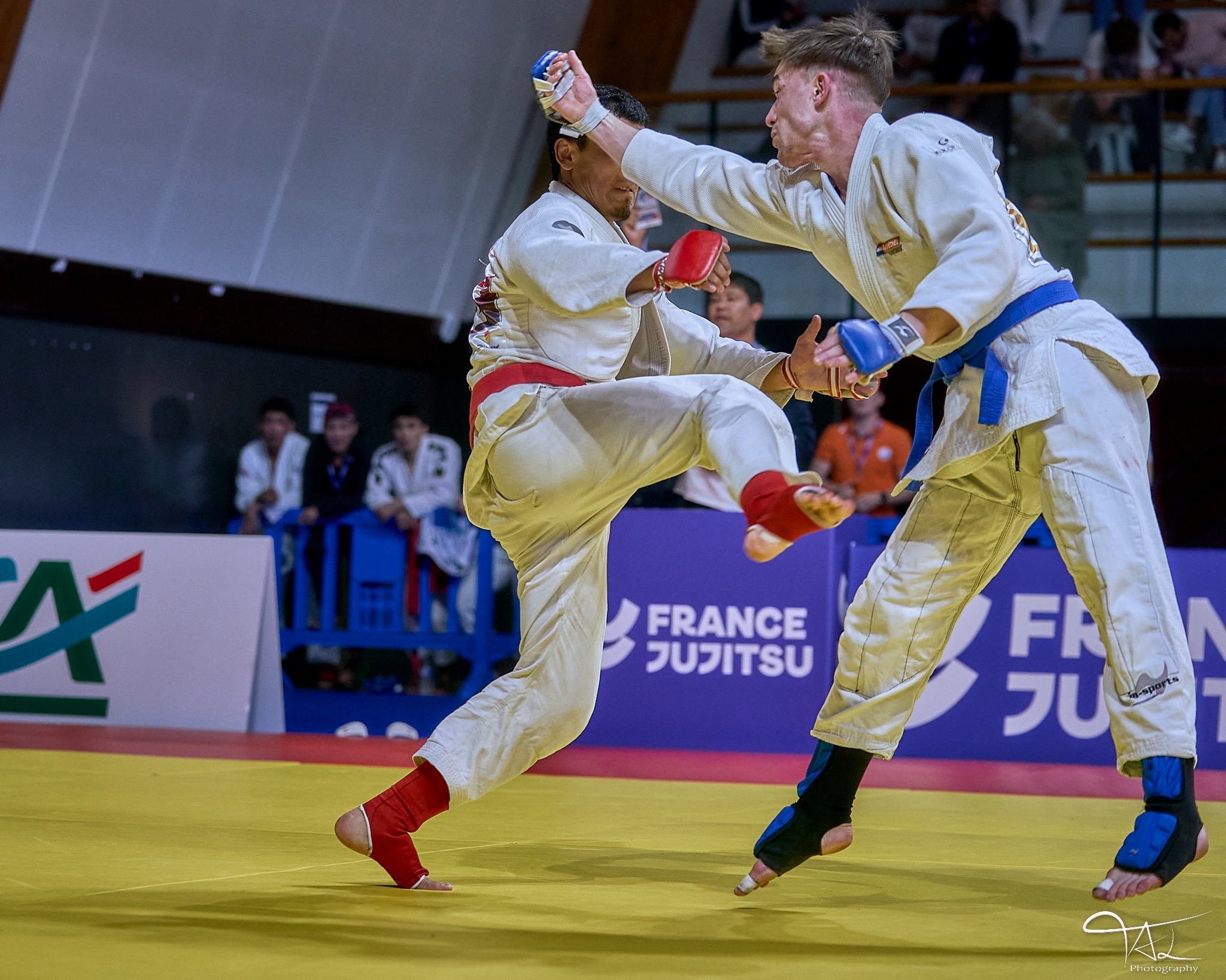 279151366_1392692128205238_7089078166665814294_n