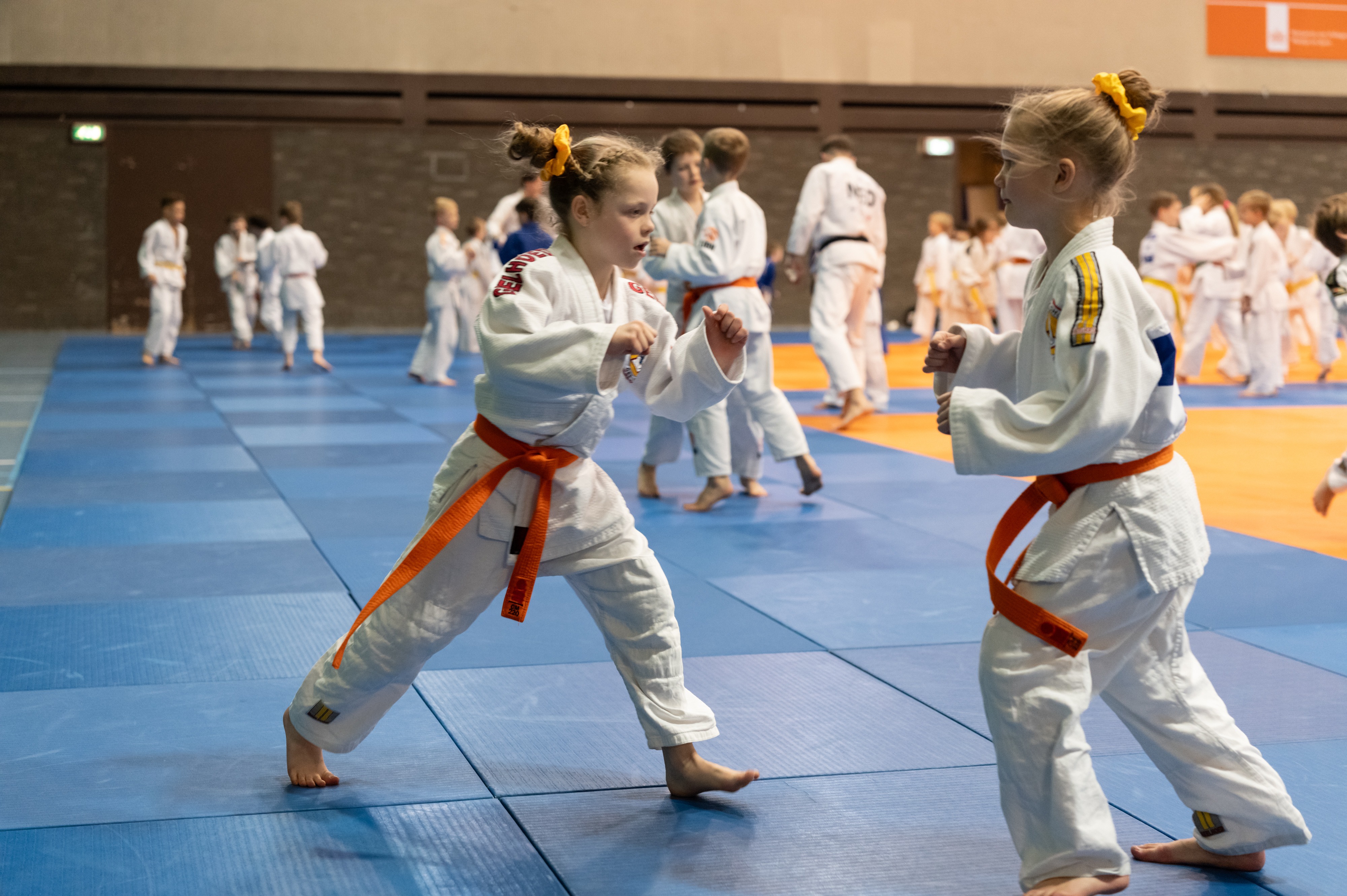 photostique-BD24-PM-1002975