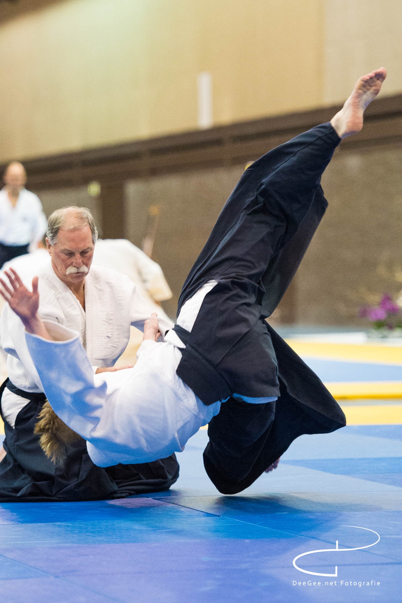 yQa4I4XV2vqERGWatXUlQwF7VSK3bF-metaQWlraWRvRmVzdGlqbi0yMDE5LTEyOTUuanBn-