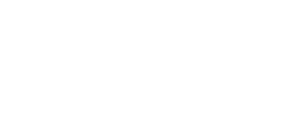 staatsloterij-wit