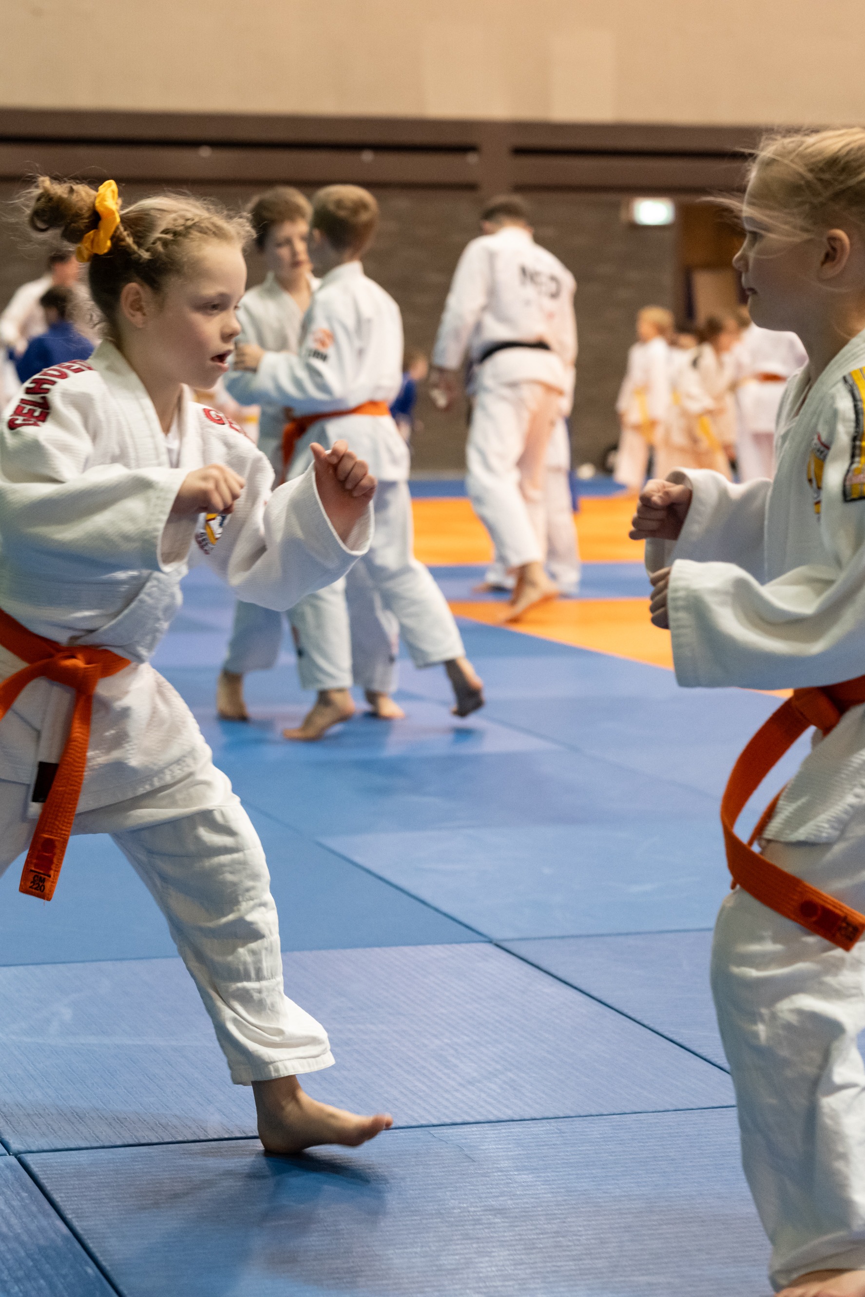 c7uAkwSsqt5FscpXjsUoOwruWa5FVF-metacGhvdG9zdGlxdWUtQkQyNC1QTS0xMDAyOTc1LmpwZw==-