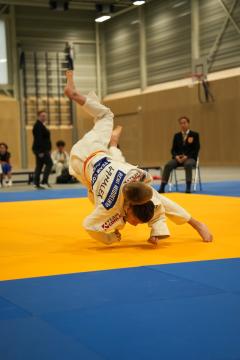 DSC09100.jpg