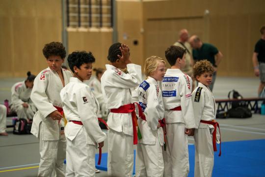 DSC08587.jpg