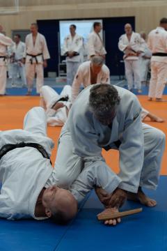 DSC07290.jpg